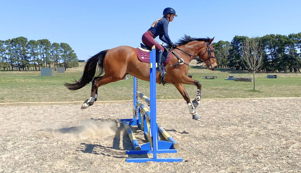 Part 1: Journey to Equimillion with Alex Vodermair 'Meet Tommy'